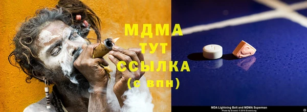 мдпв Богородск
