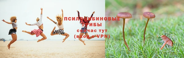 бутират Богородицк