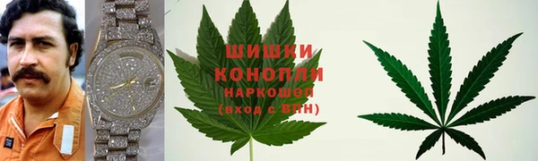 экстази Богданович