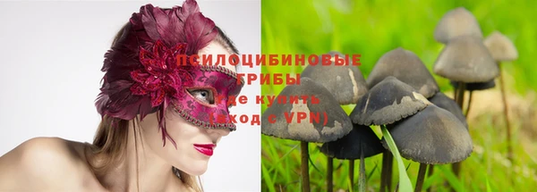 экстази Богданович