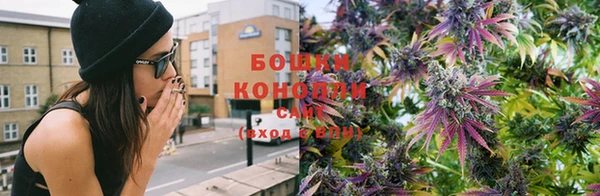 мдпв Богородск