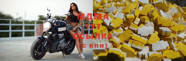 мдпв Богородск